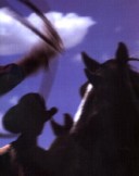 Cowpuncher