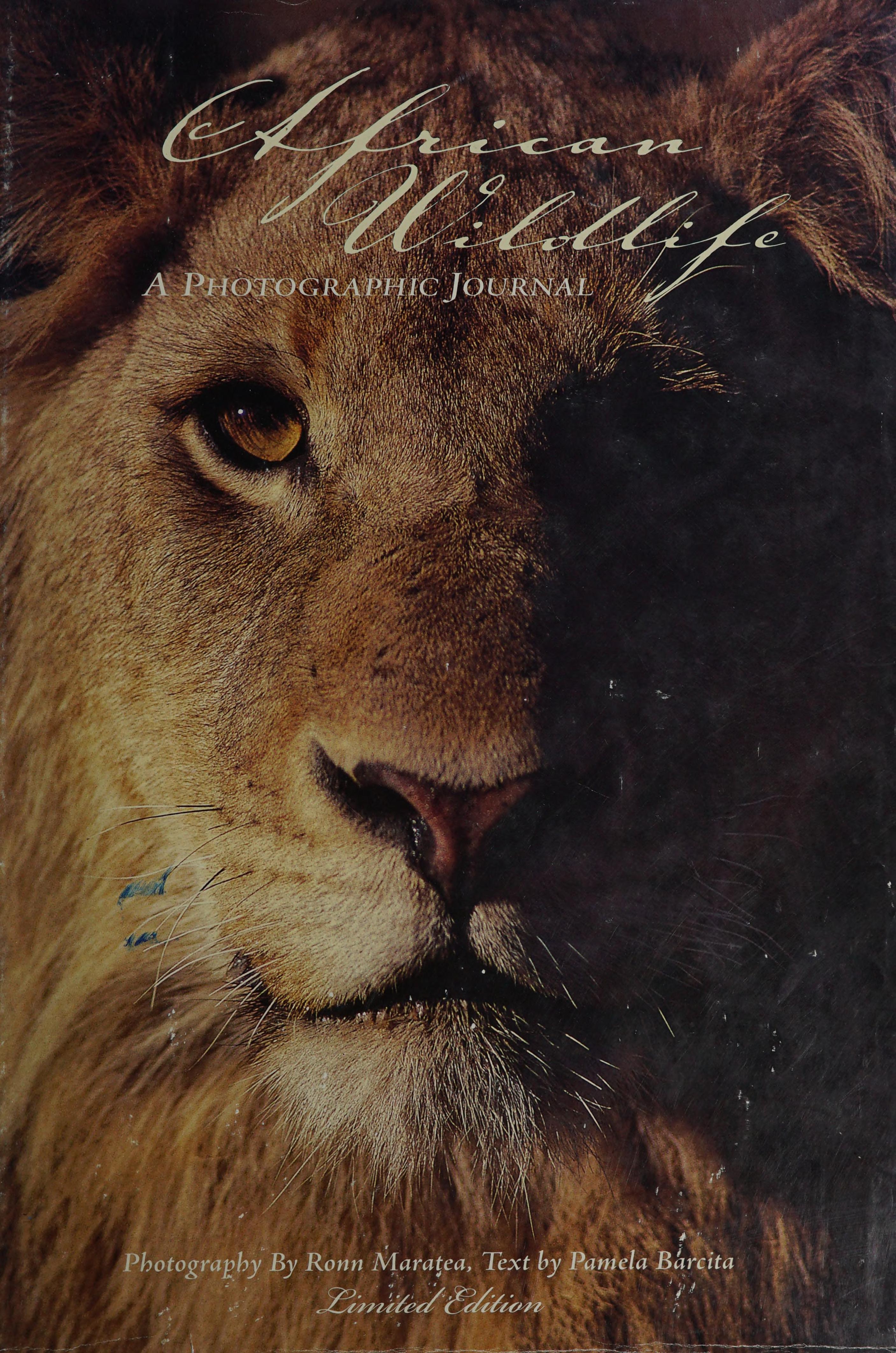 African Wildlife