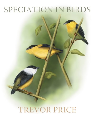 Speciation In Birds