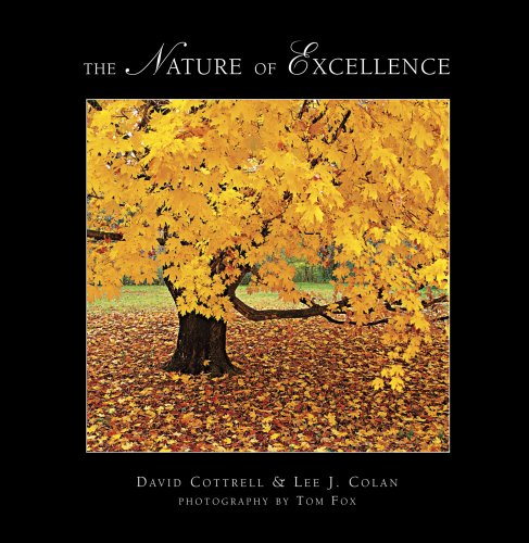 The Nature of Excellence