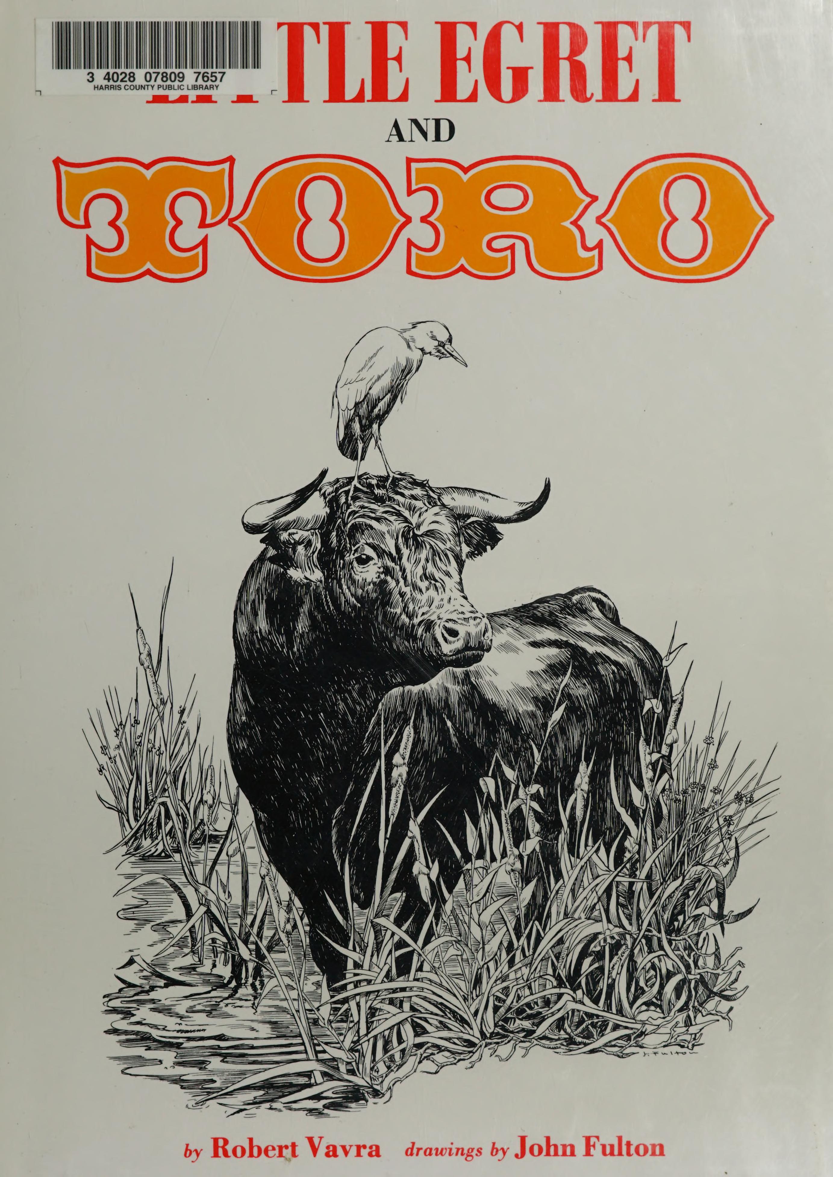Little Egret and Toro