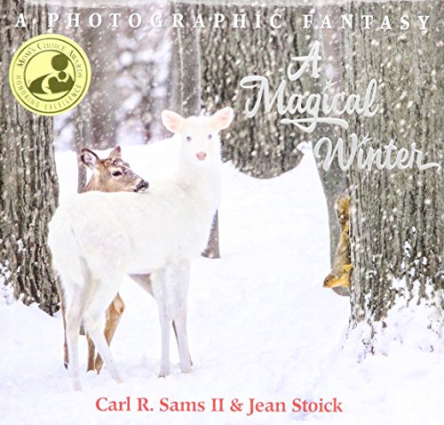 A Magical Winter