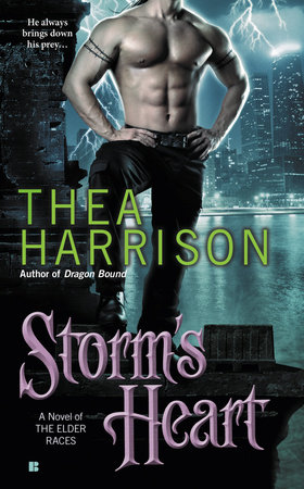 Storm'S Heart