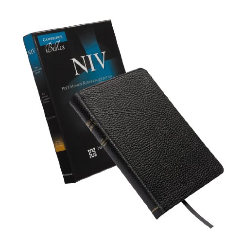 NIV Pitt Minion Reference Black Calf Split Leather NI444:XR