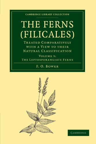 The Ferns (Filicales): Volume 3, The Leptosporangiate Ferns: Treated Comparatively With A View To Their Natural Classification