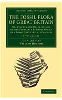 Fossil Flora of Great Britain 3 Volume Set