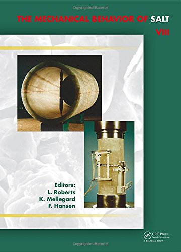 Mechanical Behaviour Of Salt Viii