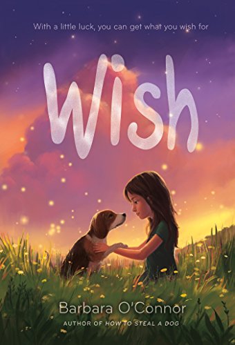 Wish by Barbara O' Connor, ISBN 9781250144058