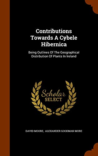 Contributions Towards a Cybele Hibernica