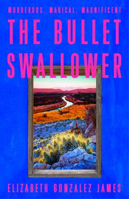 Bullet Swallower by Elizabeth Gonzalez James, ISBN 9781399709071