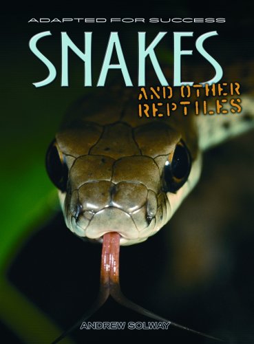Snakes And Other Reptiles