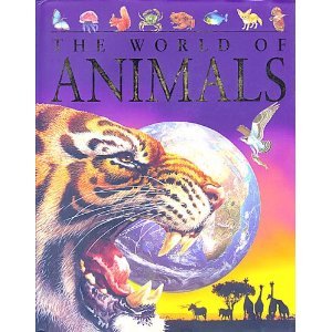 The World Of Animals
