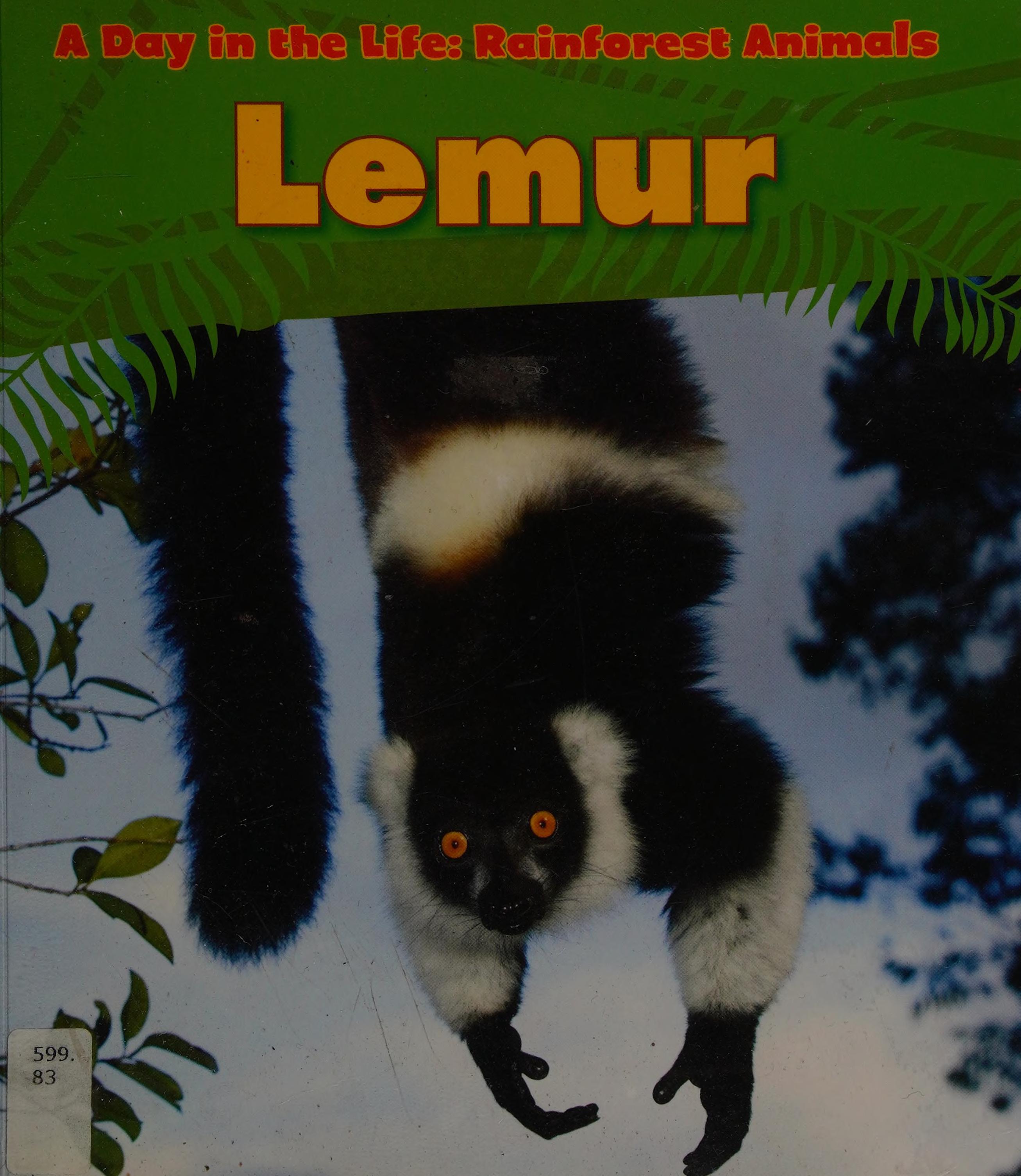 Lemur
