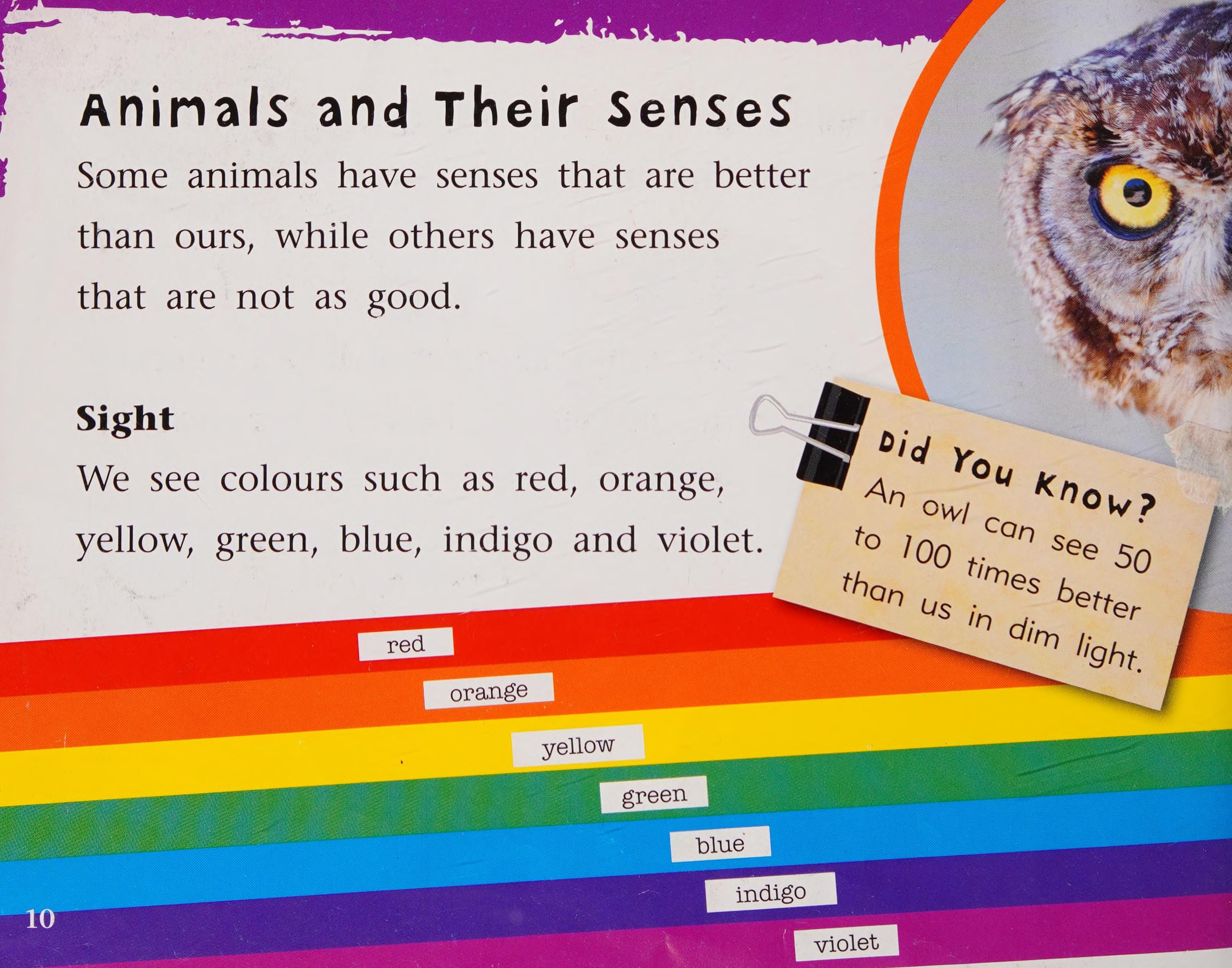 Senses