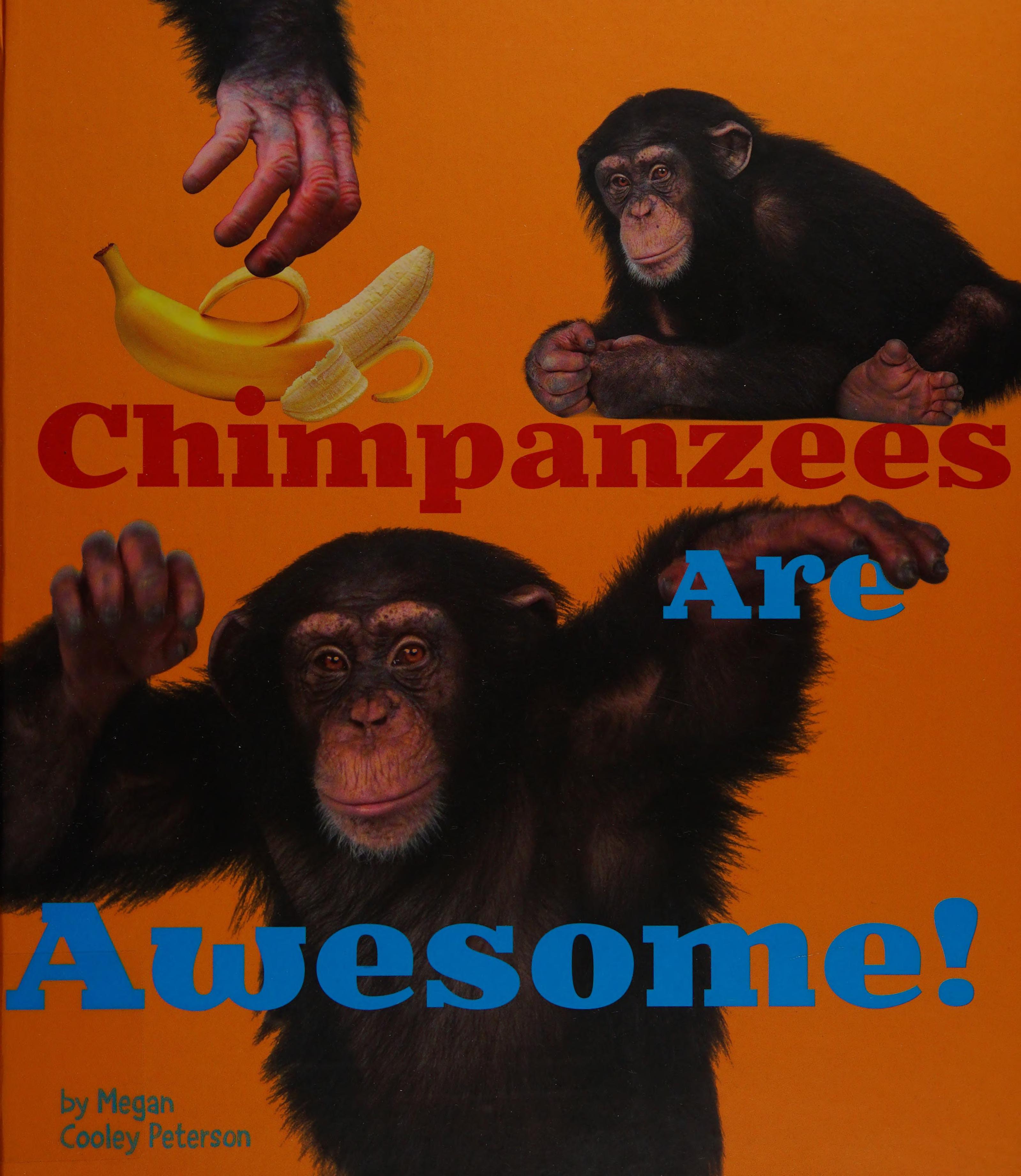 Chimpanzees Are Awesome!