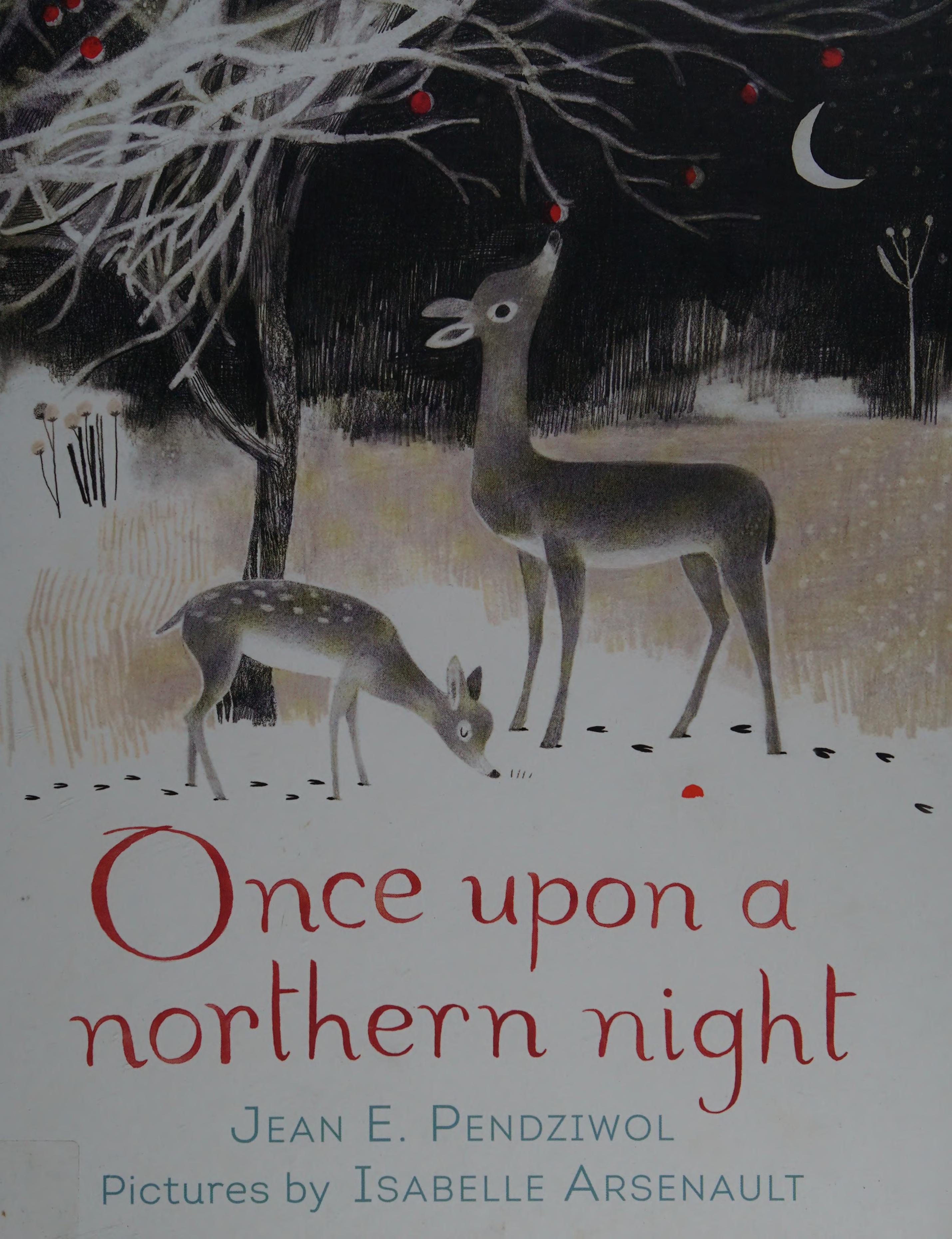 Once upon a northern night