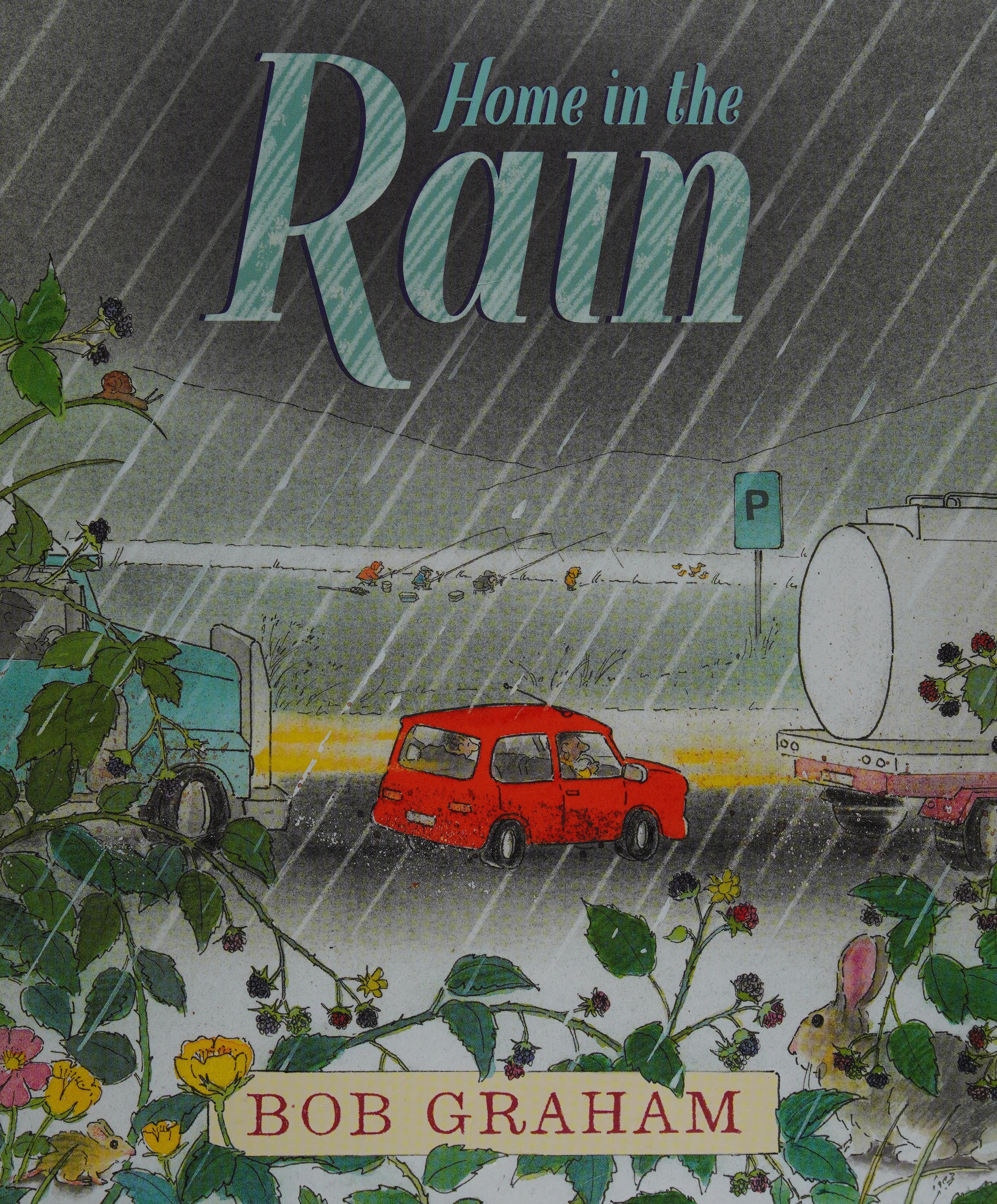 Home in the Rain
