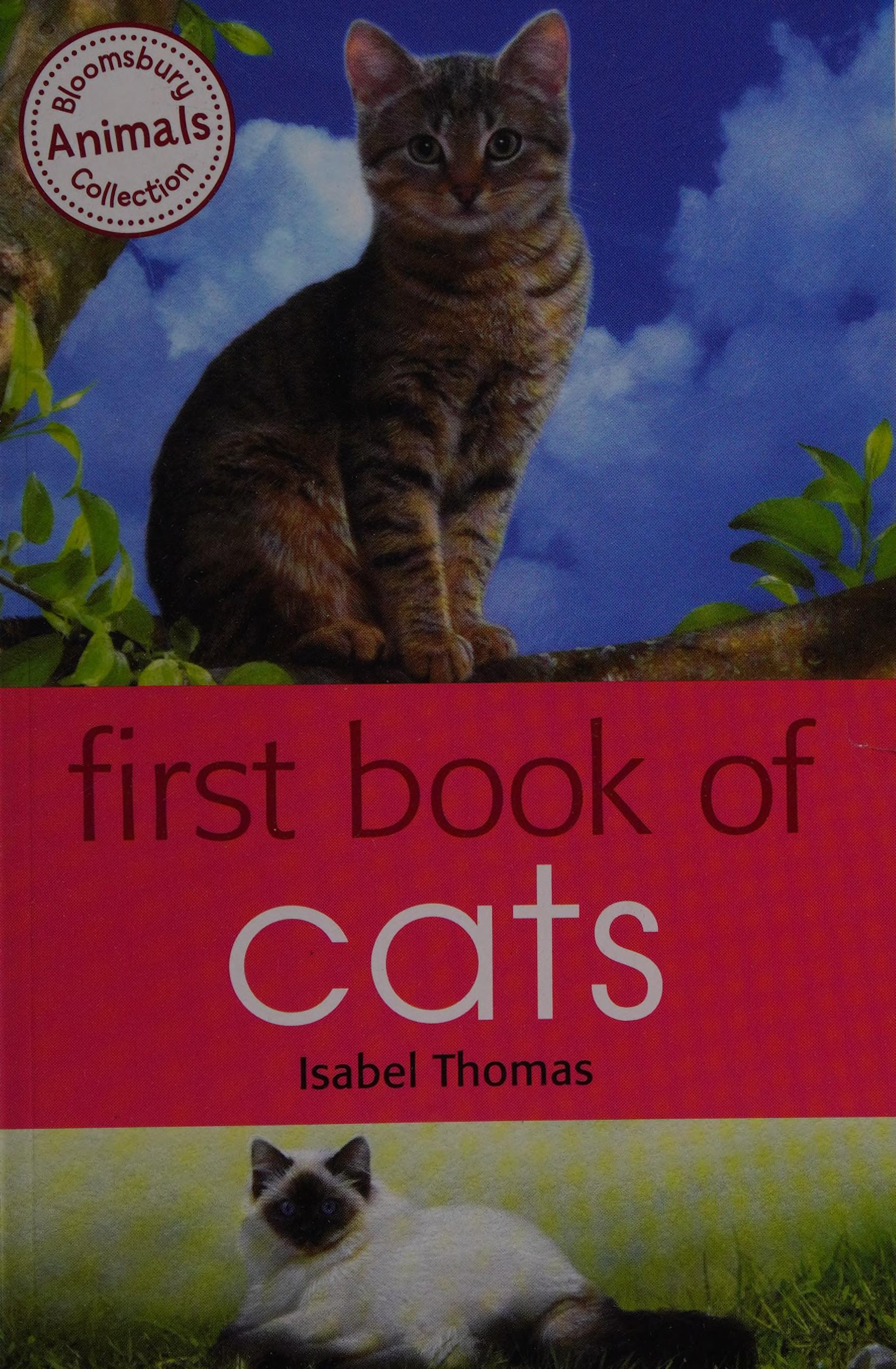 First Book of Cars