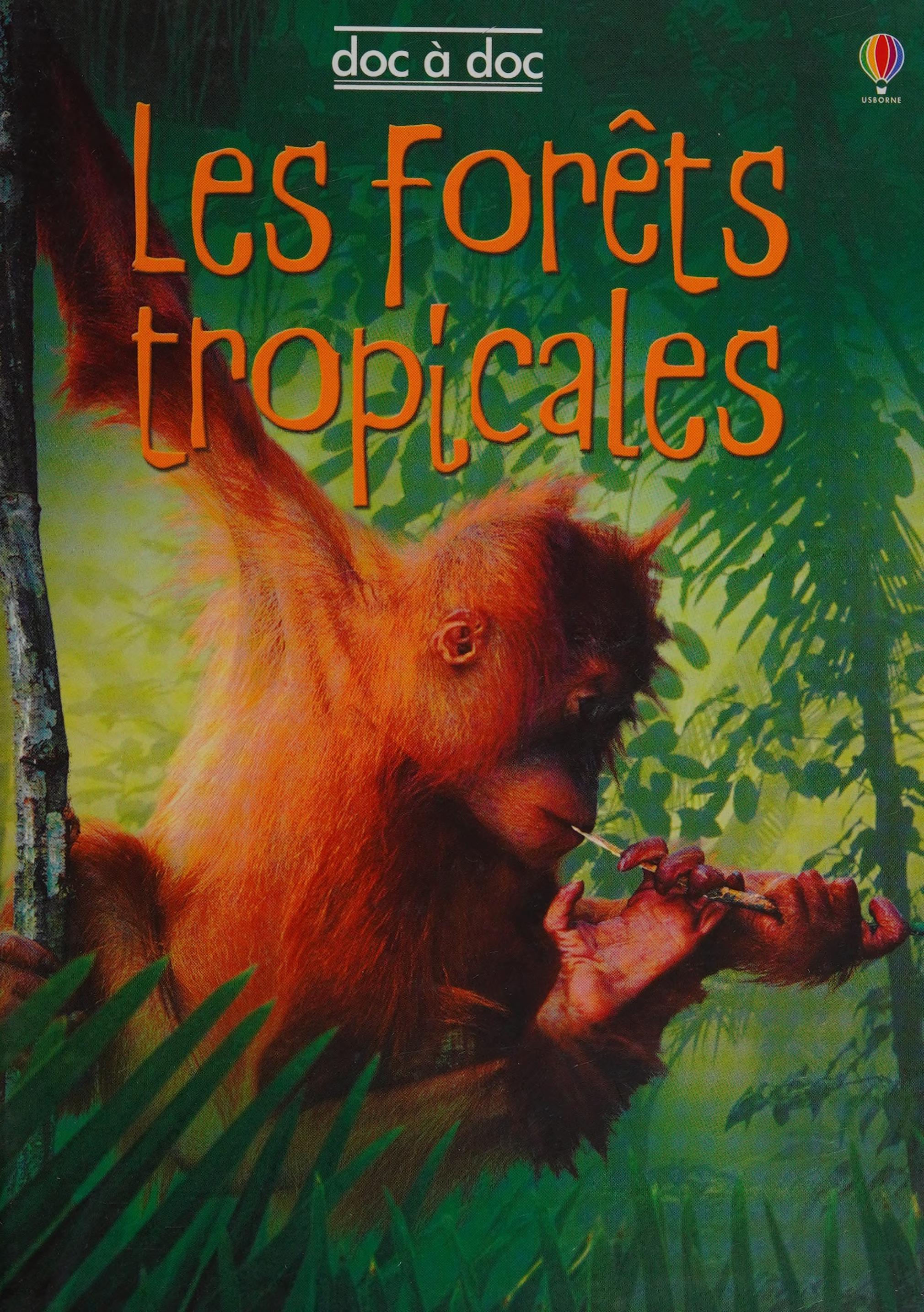 Les for?Ts Tropicales