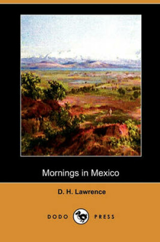 Mornings In Mexico