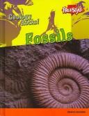 Fossils Geology Rocks