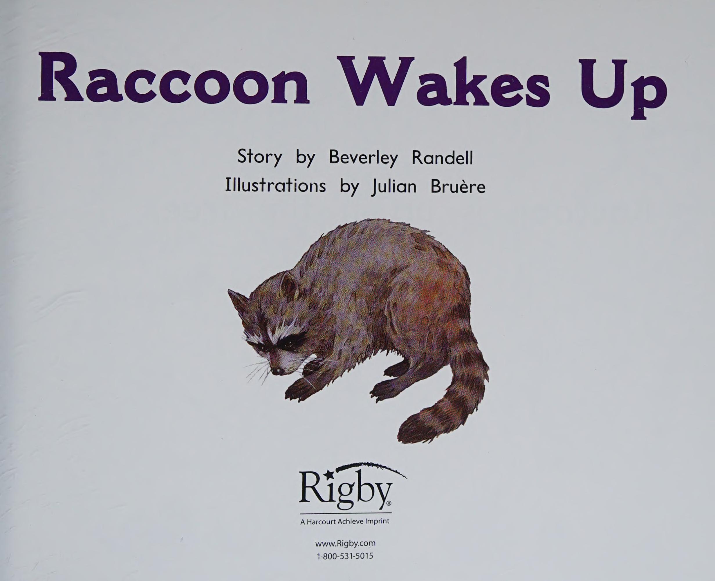 Raccoon Wakes Up