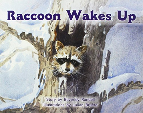 Raccoon Wakes Up