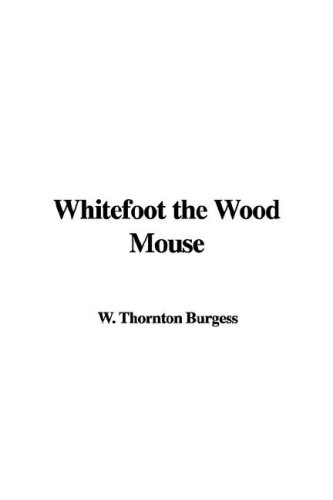 Whitefoot The Wood Mouse