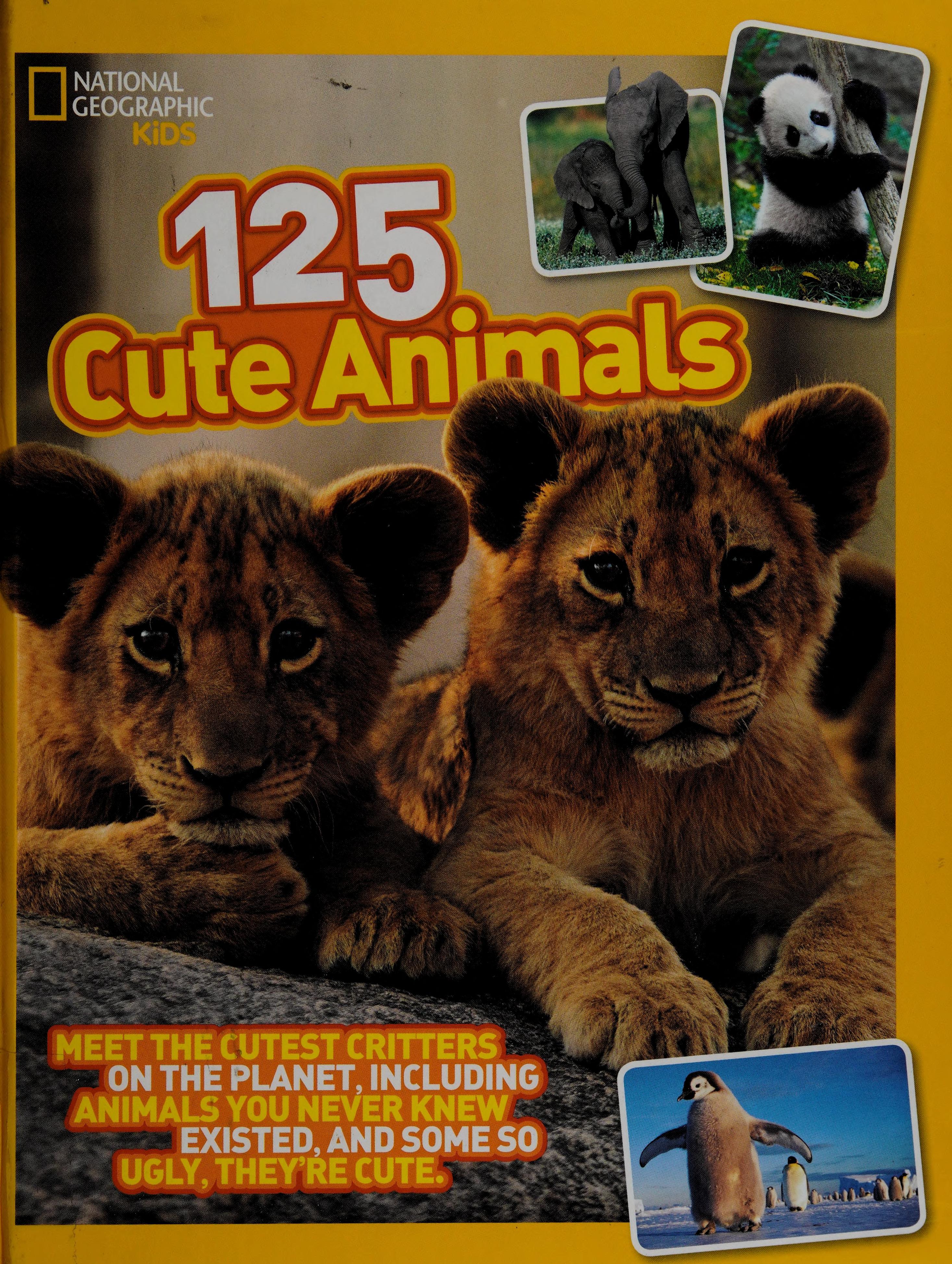 125 cute animals