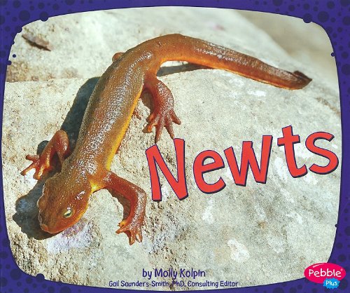 Newts