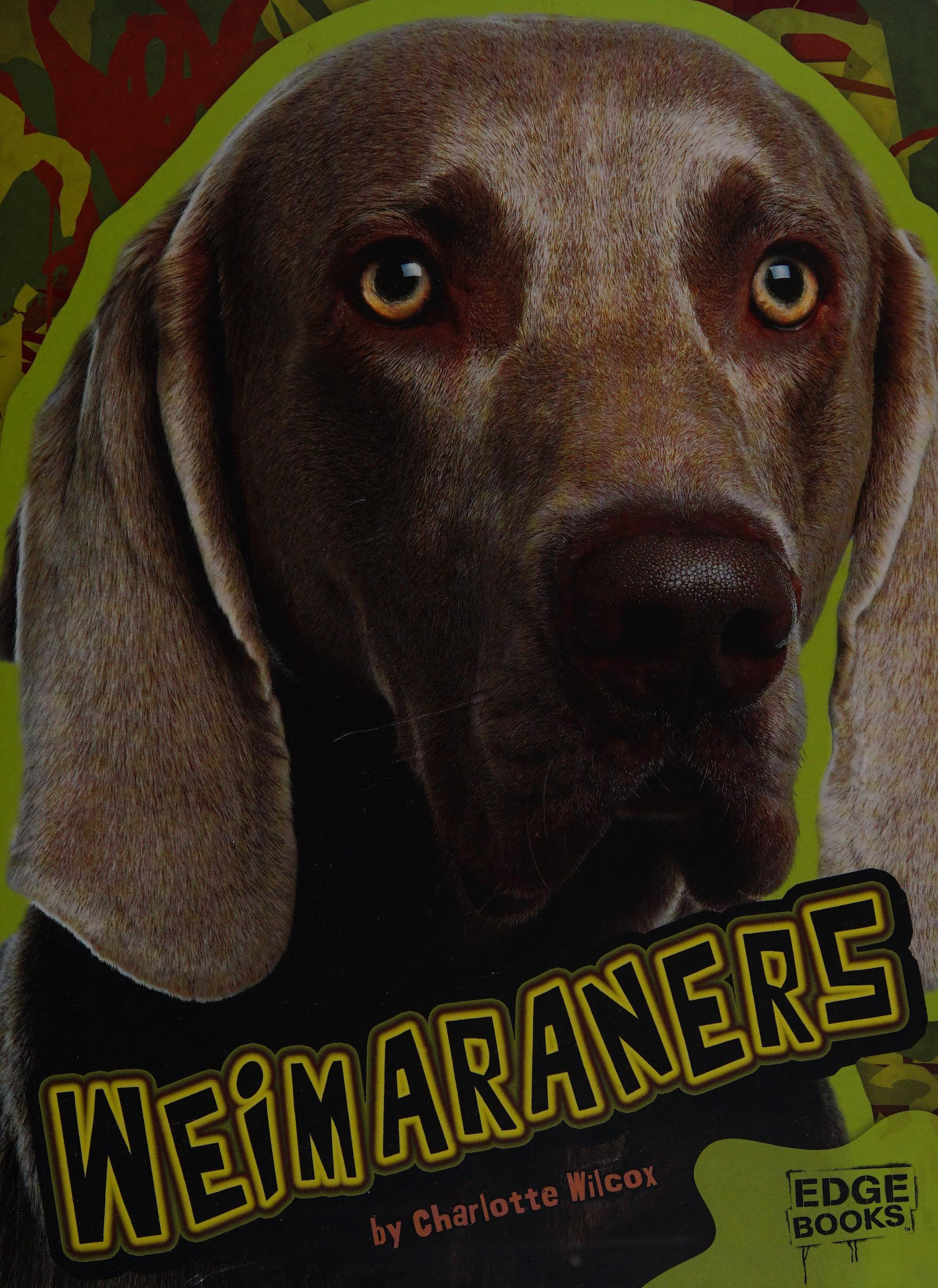 Weimaraners