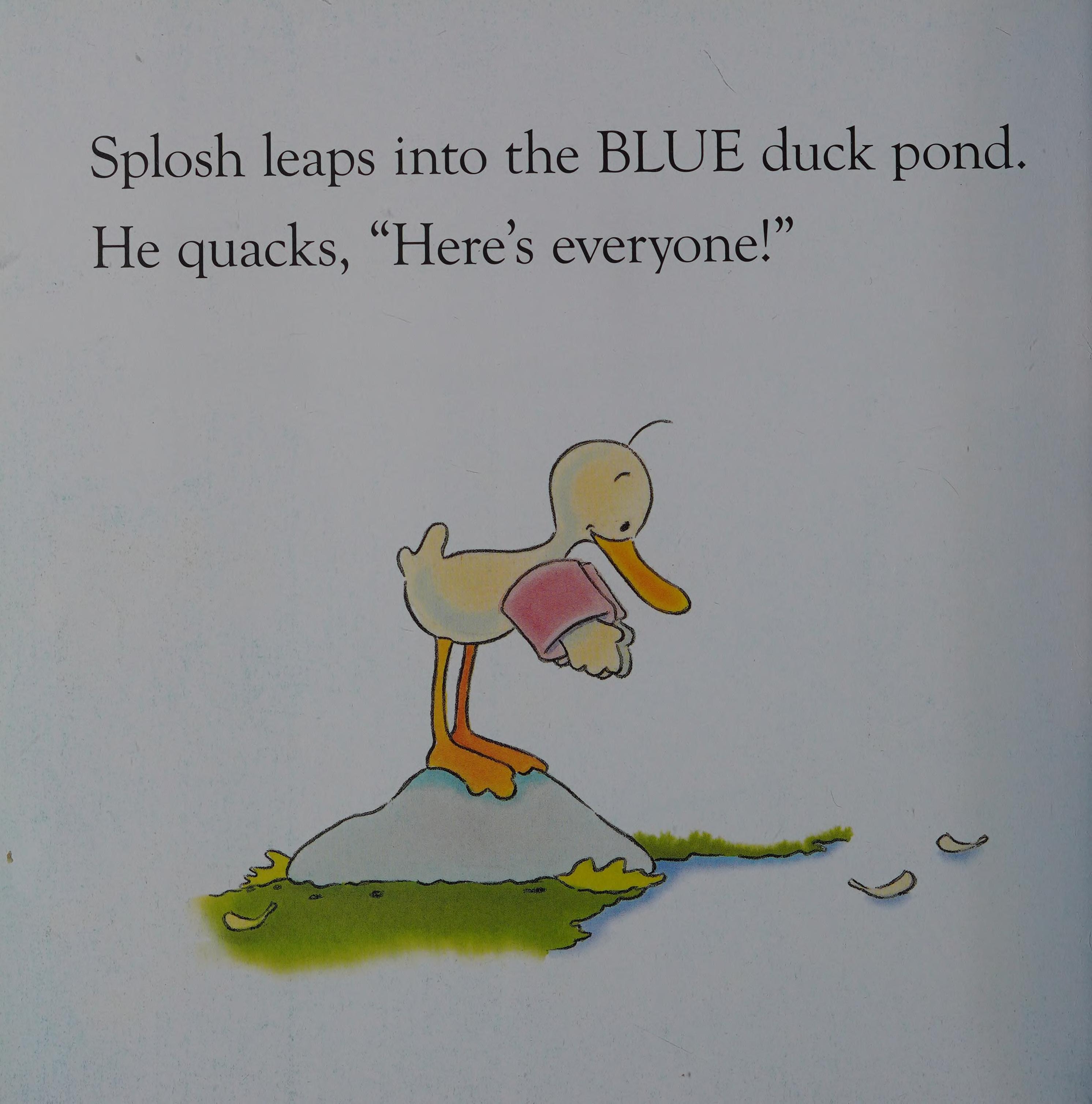 Colour with Splosh!
