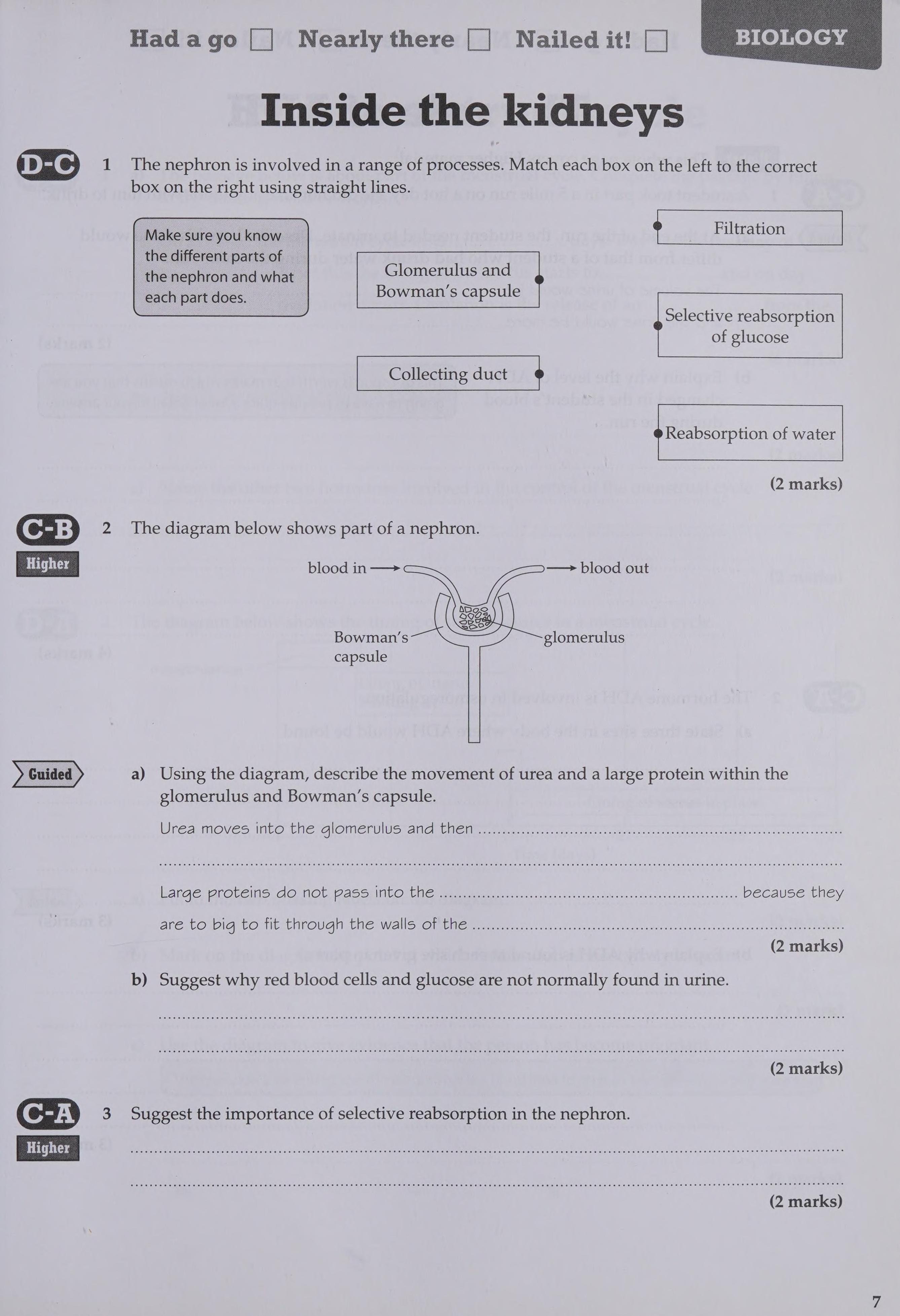Revise Edexcel: Edexcel Gcse Science Extension Units Revision Workbook