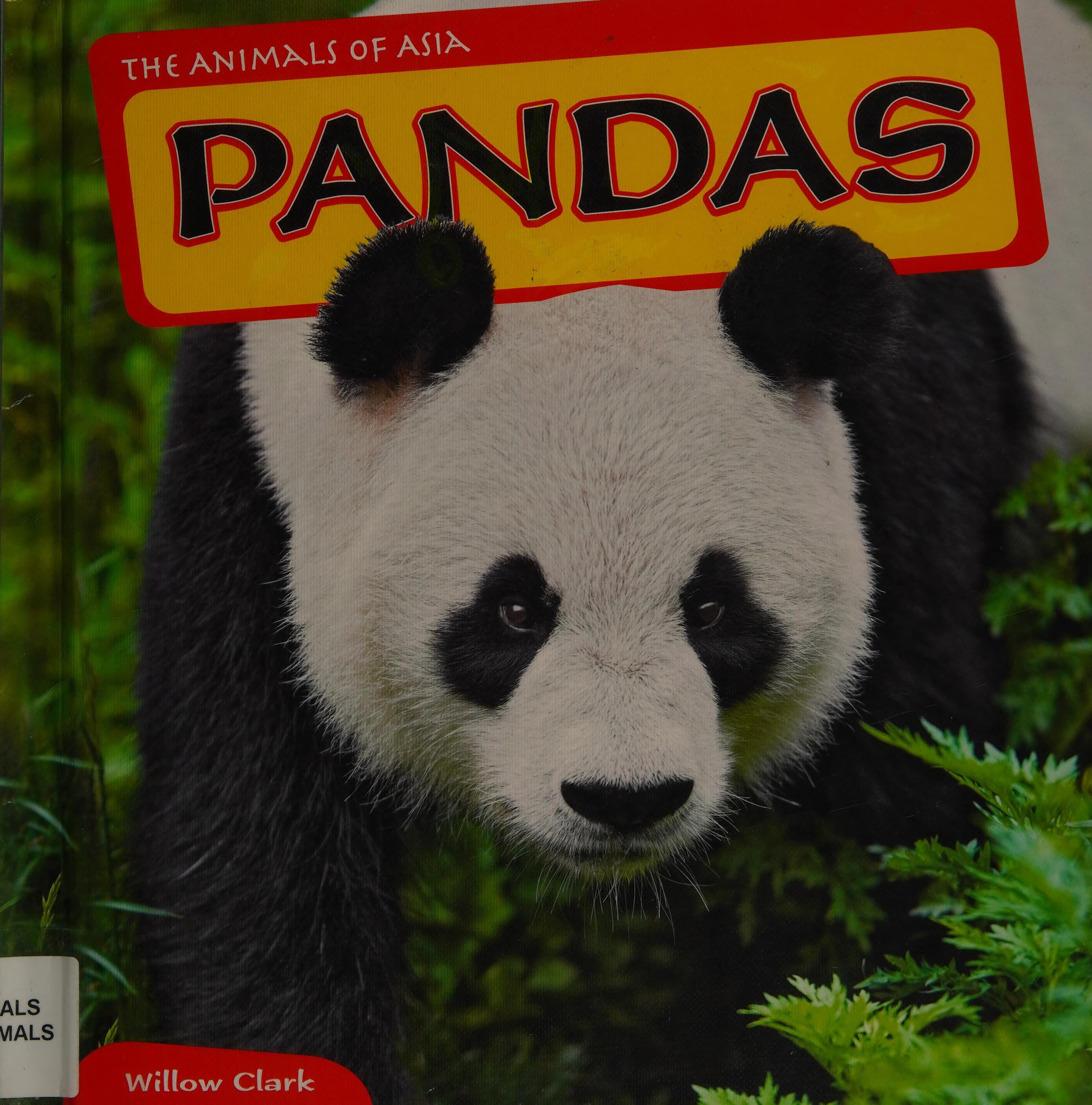 Pandas