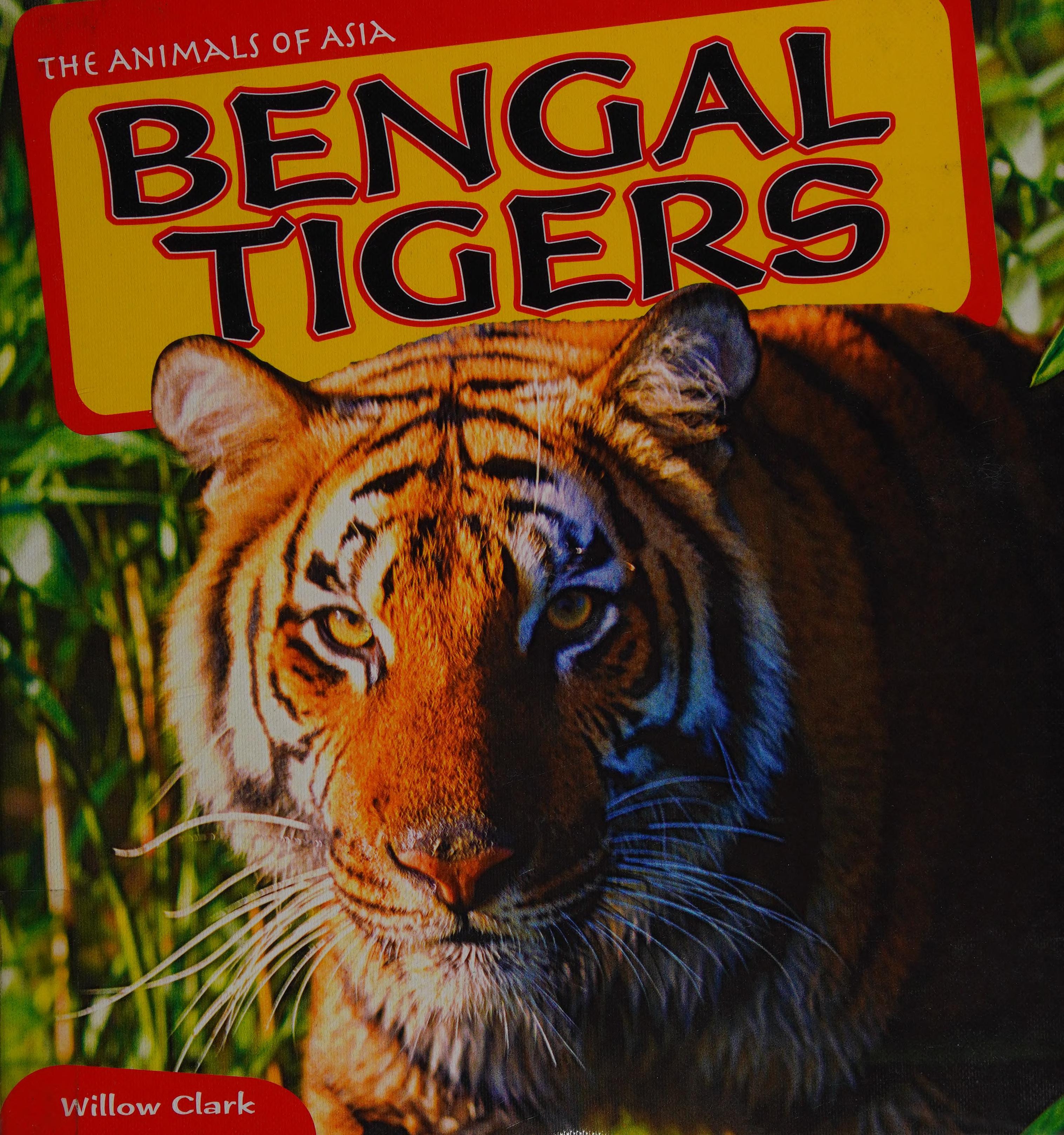Bengal Tigers