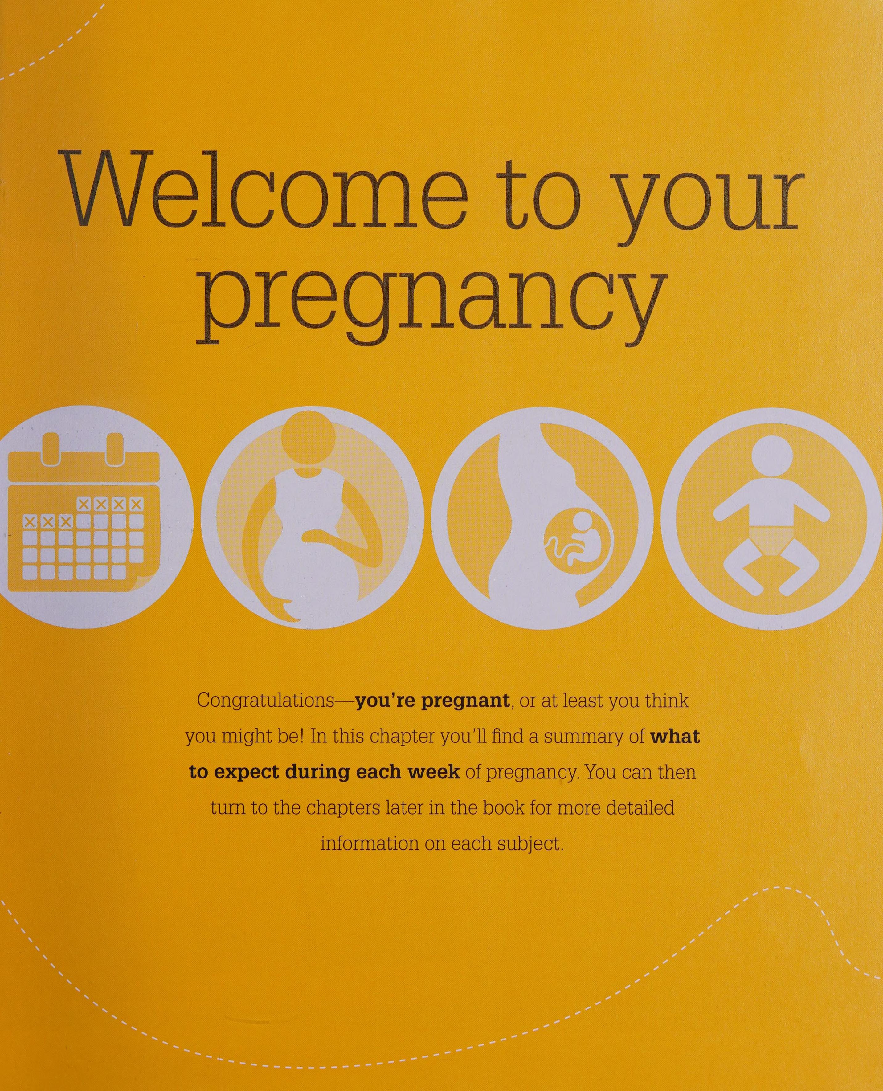 The Pregnancy Encyclopedia
