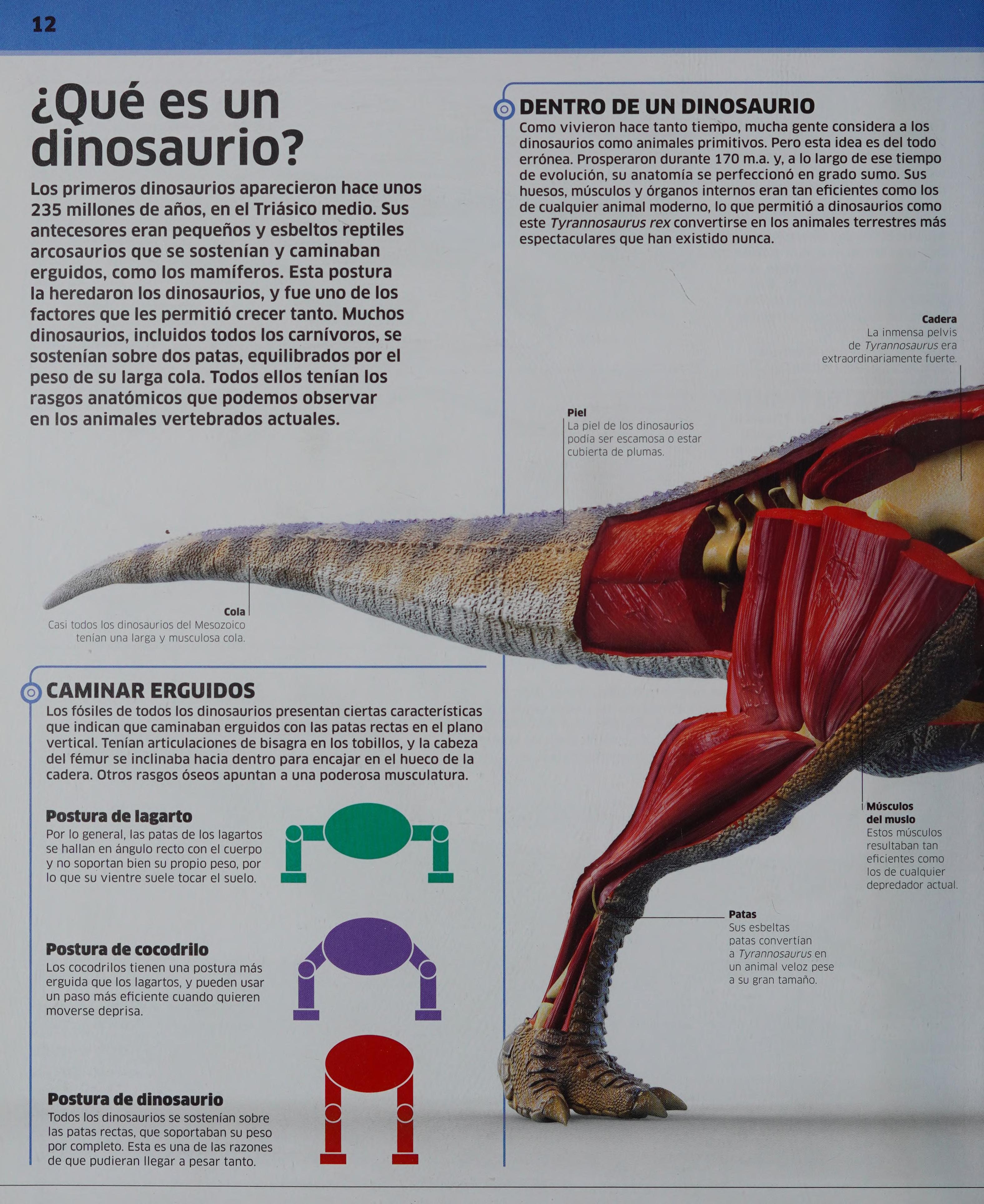 Dinosaurios