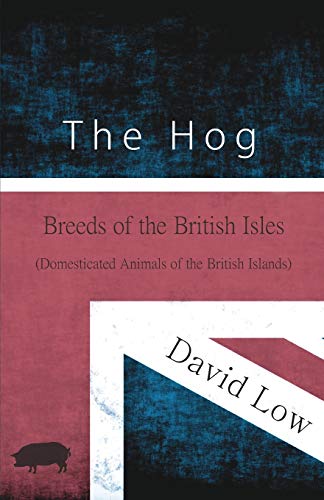 The Hog - Breeds of the British Isles