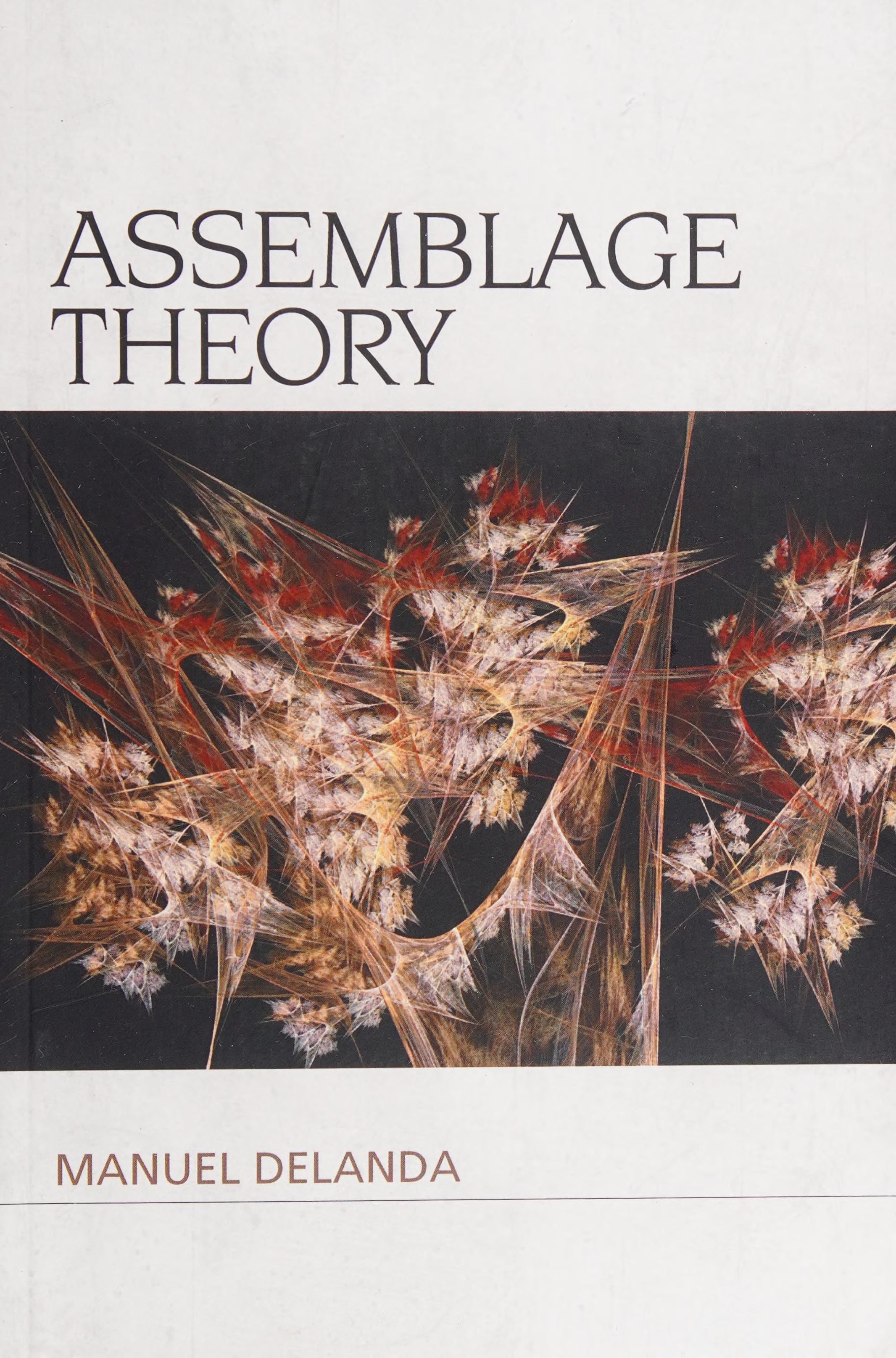 Assemblage Theory
