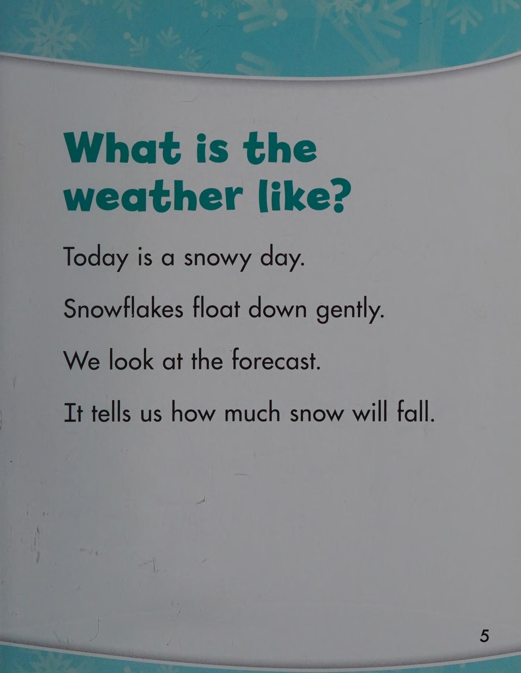Today Is a Snowy Day