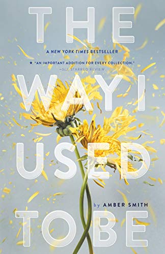 The Way I Used To Be by Amber Smith, ISBN 9781481449366