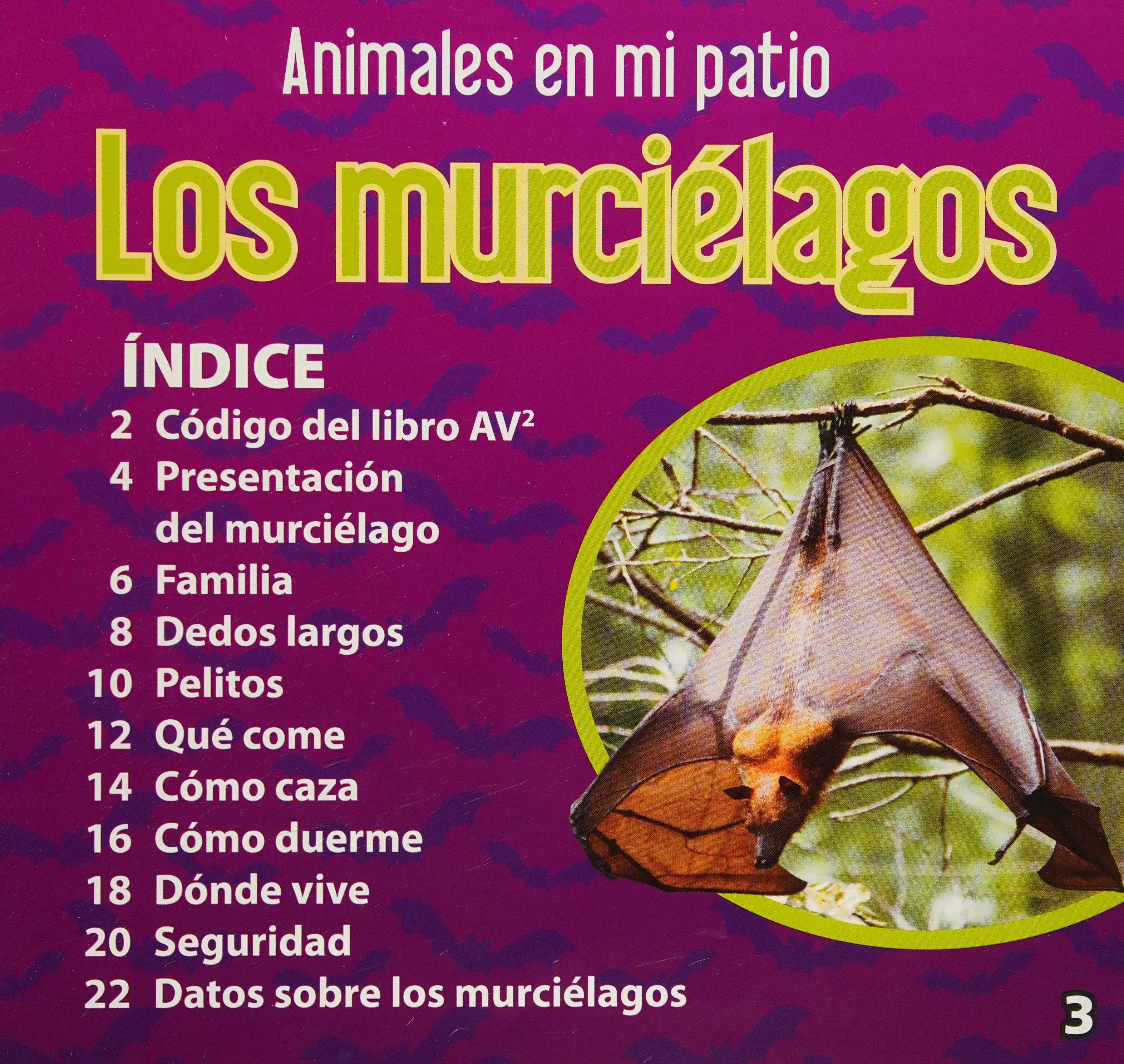 Los Murciélagos
