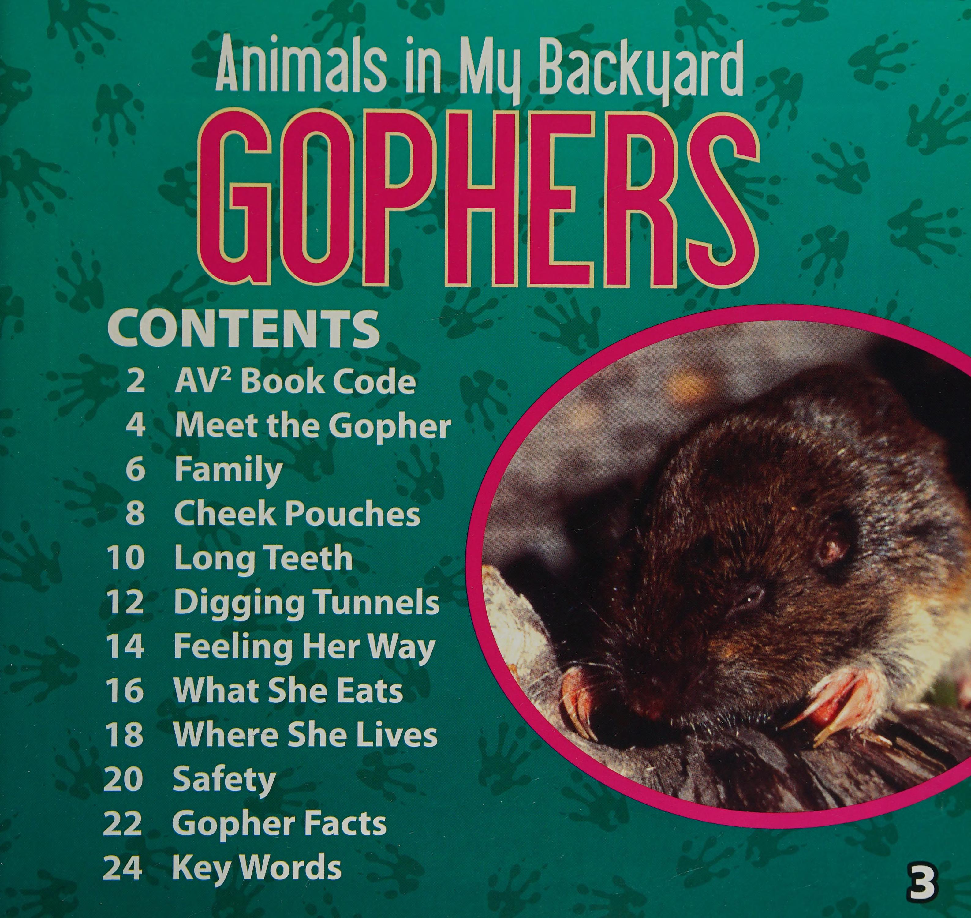 Gophers