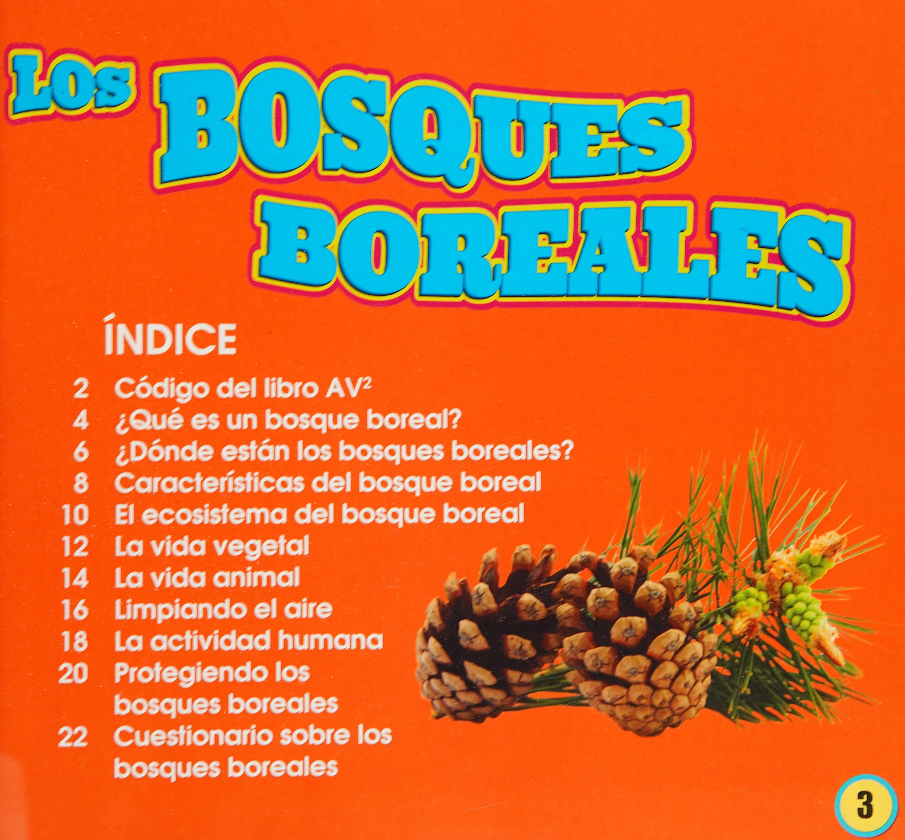 Los Bosques Boreales