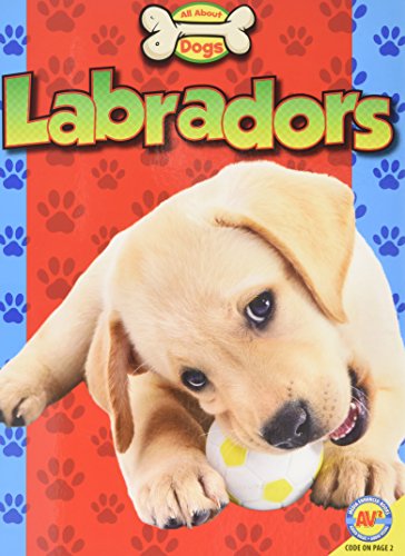 Labradors