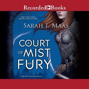 Court Of Mist And Fury by Sarah J. Maas, ISBN 9781490638218