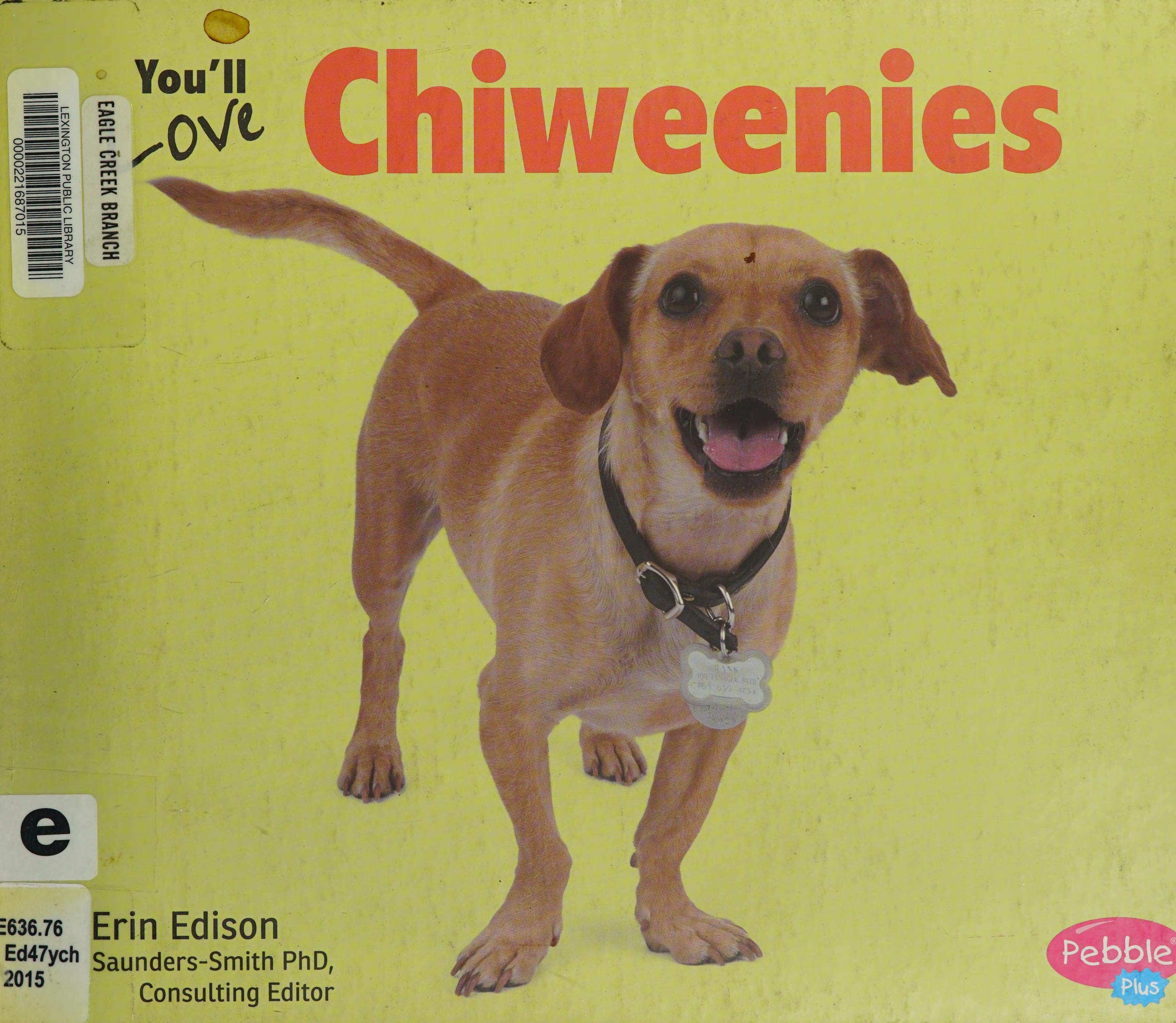 You'll Love Chiweenies