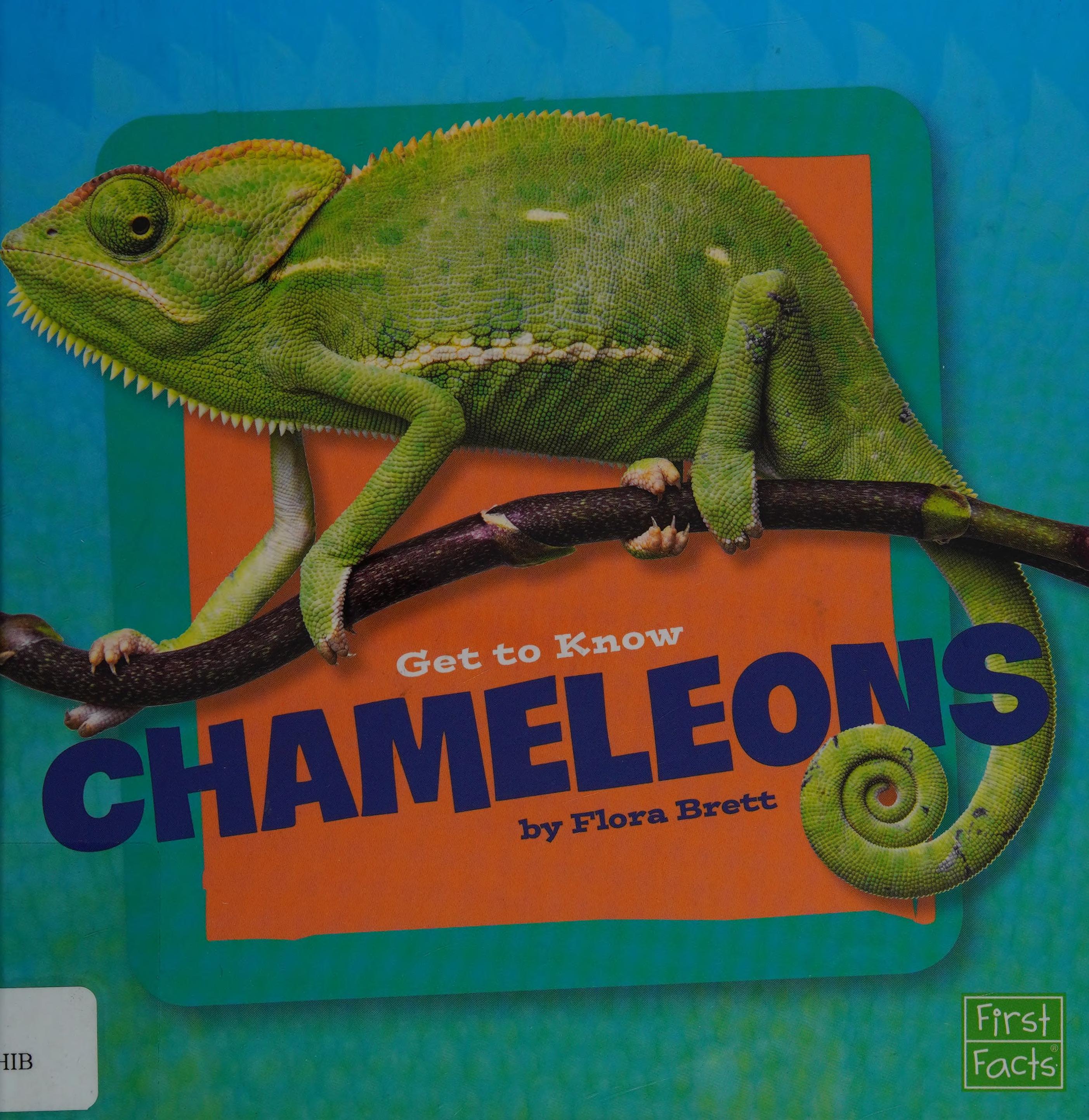 Get to Know Chameleons