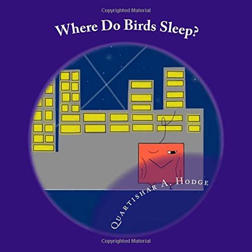 Where Do Birds Sleep?