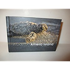 Day on Amelia Island